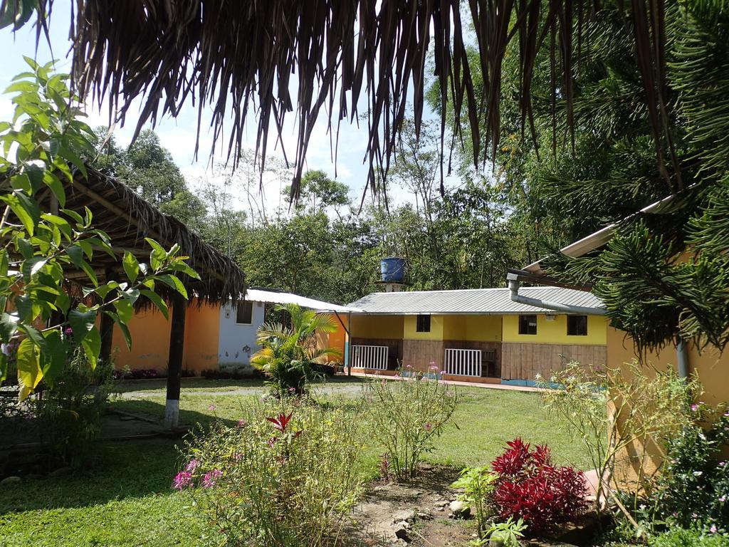 Hostal Henrry'S Hotel Mindo Exterior photo